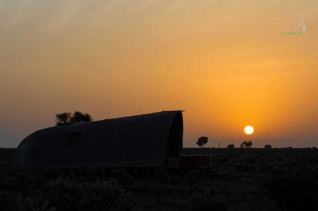 Amanya 1 -Bed King Lion Tent อัมโบเซลี ภายนอก รูปภาพ