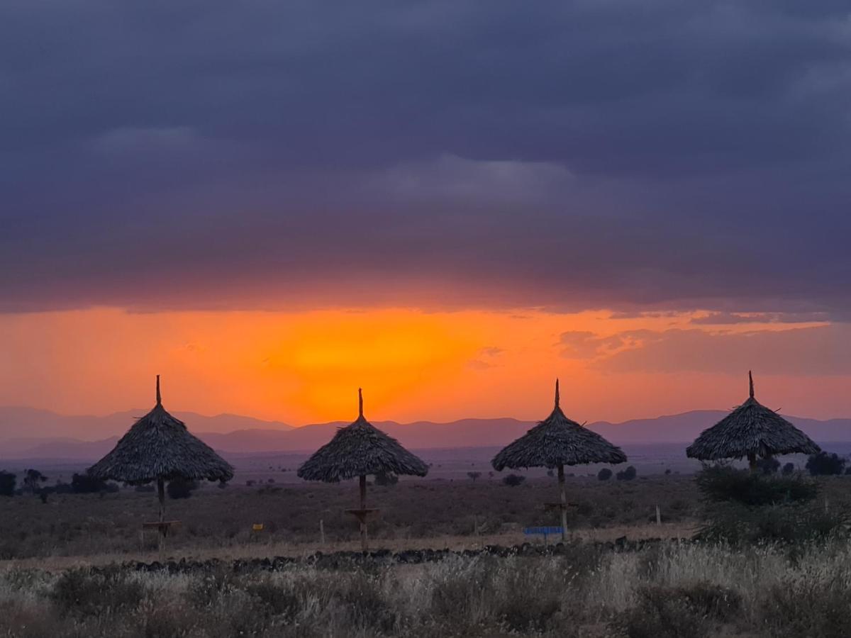Amanya 1 -Bed King Lion Tent อัมโบเซลี ภายนอก รูปภาพ