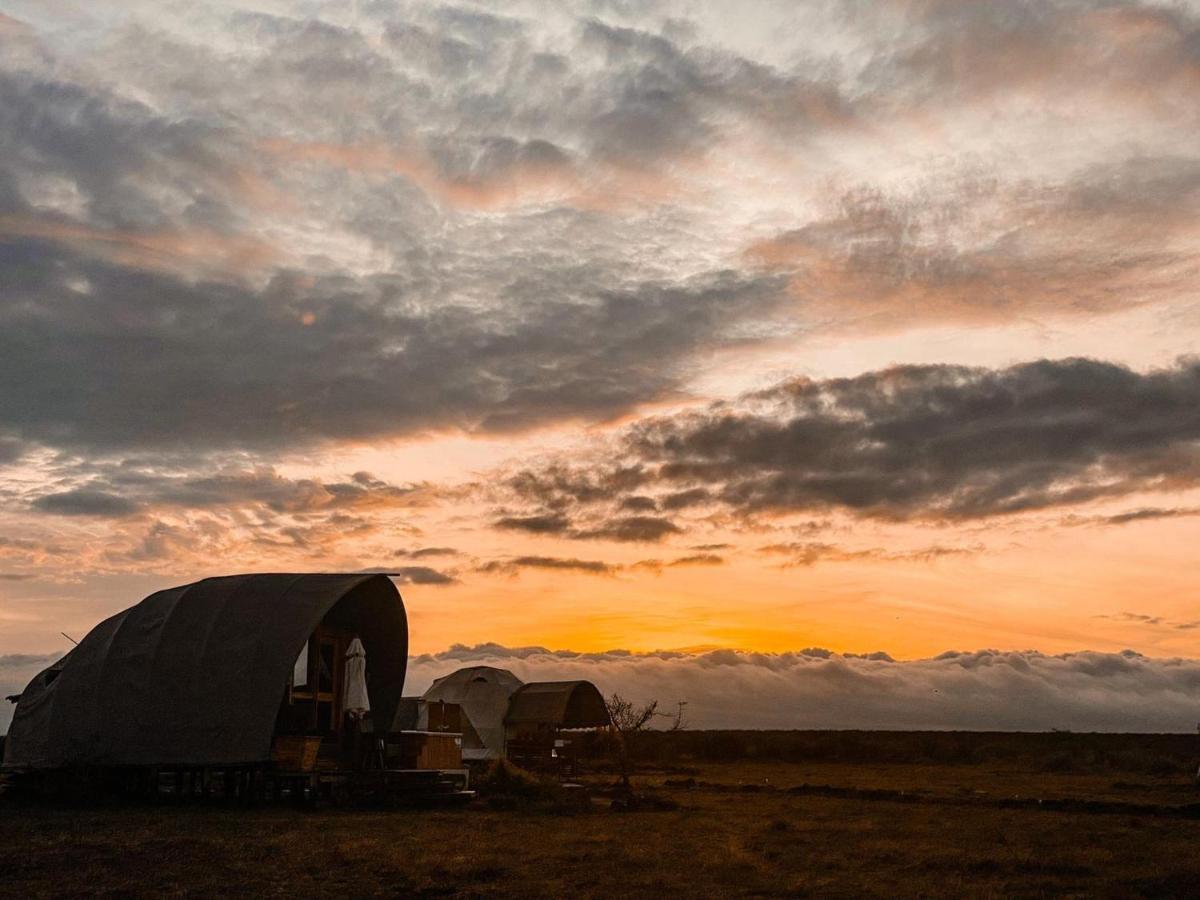 Amanya 1 -Bed King Lion Tent อัมโบเซลี ภายนอก รูปภาพ