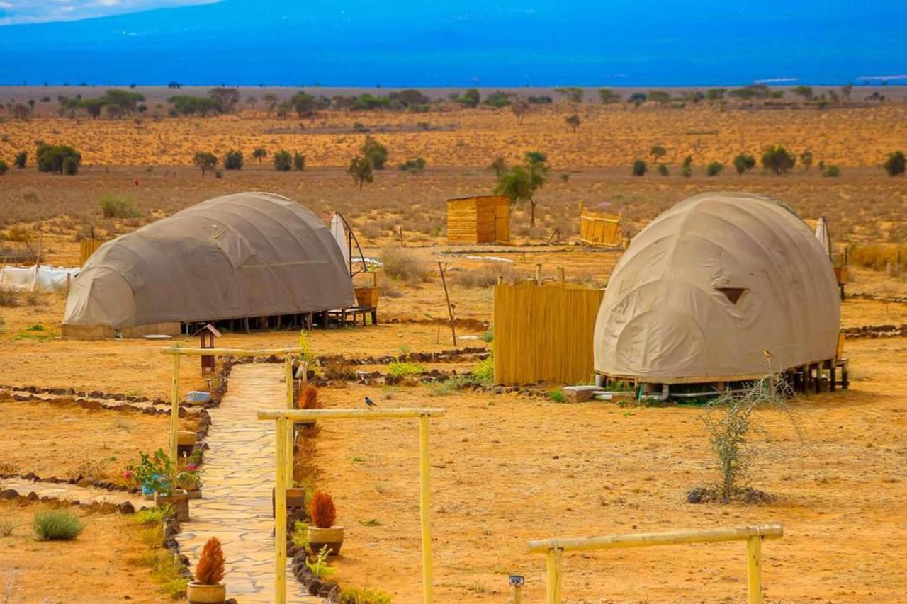 Amanya 1 -Bed King Lion Tent อัมโบเซลี ภายนอก รูปภาพ