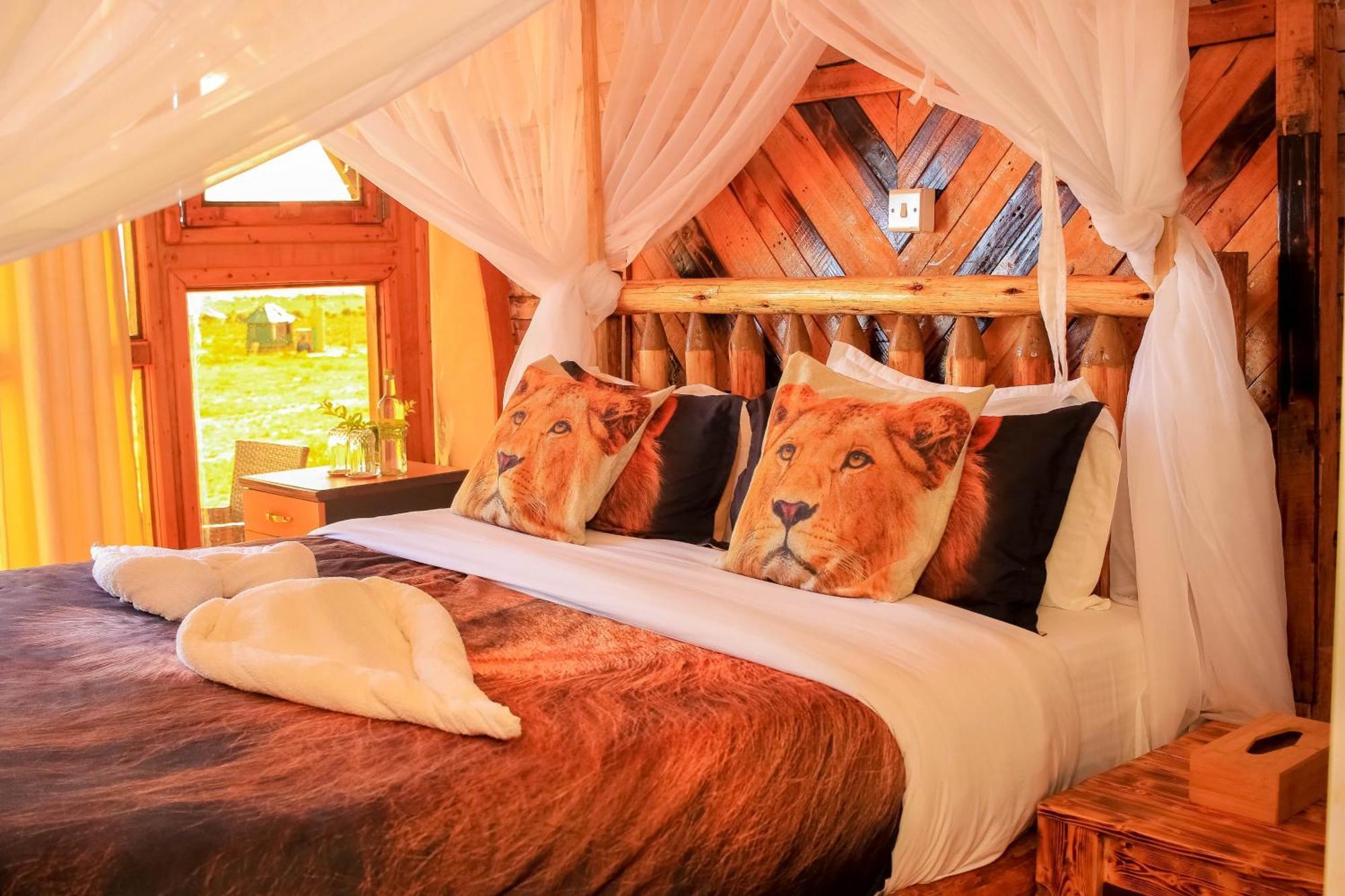 Amanya 1 -Bed King Lion Tent อัมโบเซลี ภายนอก รูปภาพ
